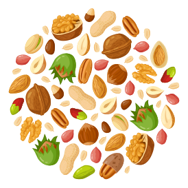 Nuts and seeds illustration